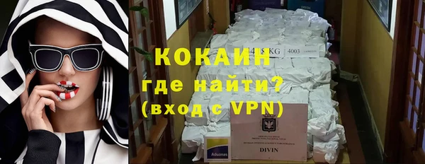 молекула духа Алексин