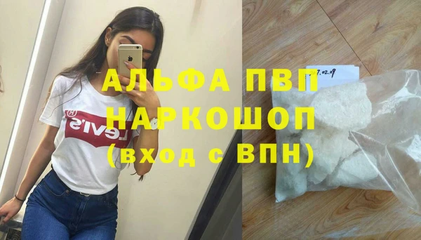 молекула духа Алексин